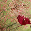 Profile picture of ‌آرام‌