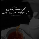 Profile picture of ‌zahra shakeri‌