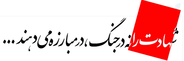 ‌مجید مرادی‌'s header picture