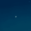 Profile picture of ‌‌𝑺𝒂𝒉𝒂𝒓‌