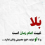 Profile picture of ‌مجنون امام رضا (علیه السلام)🇮🇷🇵🇸‌