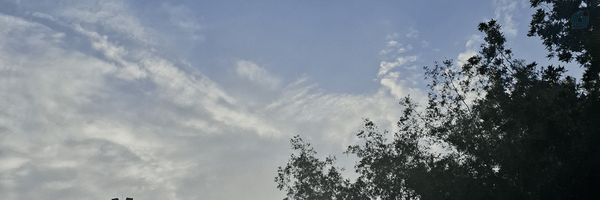 ‌هدی سالاری‌'s header picture