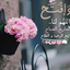 Profile picture of ‌مریم علیزاده‌