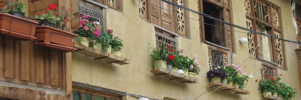 ‌Amir Virastchi‌'s header picture