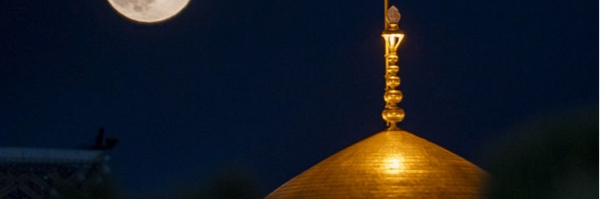 ‌Ms. Soleimani🇦🇪‌'s header picture