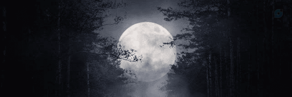 ‌Anne‌'s header picture