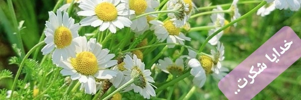 ‌یاصاحب الزمان..‌'s header picture