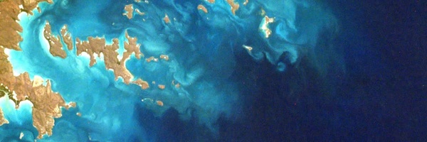 ‌مهدی‌'s header picture