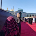 Profile picture of ‌سمیه غفاری‌