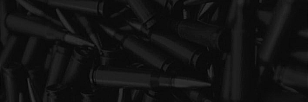 ‌AARON BUSHNELL‌'s header picture