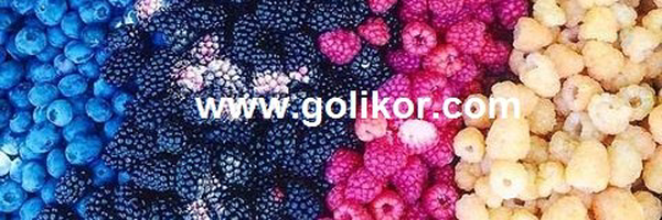 ‌گُلی کُر golikor‌'s header picture