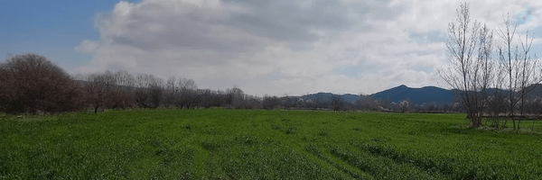 ‌وطنم ایران‌'s header picture