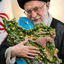 Profile picture of ‌« ابراهیمی »‌