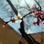 Profile picture of ‌Morteza‌