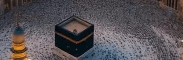 ‌taherh shakeri‌'s header picture