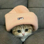 Profile picture of ‌ρꫝꪮꫀꪀⅈ᥊‌