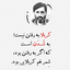 Profile picture of ‌احمد لباف‌