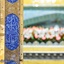 Profile picture of ‌ابوالفضل قاسمی‌