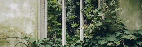 ‌پناه.‌'s header picture