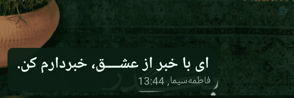 ‌فاطمه سیما ذوالفقار‌'s header picture