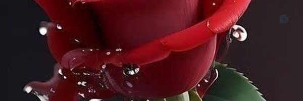 ‌خانم کاظمی‌'s header picture