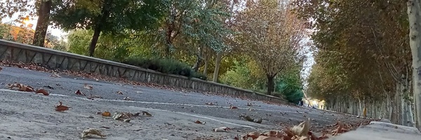 ‌Mohammd Ahmadi‌'s header picture