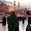 Profile picture of ‌سادات‌