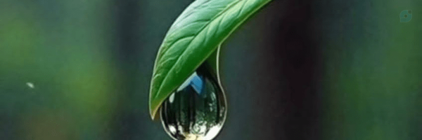 ‌روح اله سیفی‌'s header picture