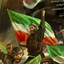Profile picture of ‌مرد غریب‌