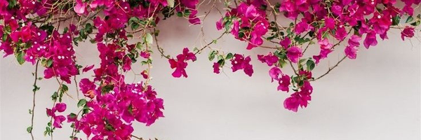‌م کریمی‌'s header picture