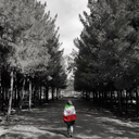 Profile picture of ‌مهاجر معکوس‌