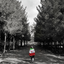 Profile picture of ‌مهاجر معکوس‌