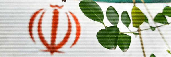 ‌ترنم‌'s header picture