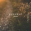 Runaway [Aurora] From dibamusics