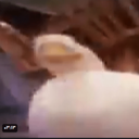 Profile picture of ‌retarded_guy‌