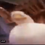 Profile picture of ‌retarded_guy‌