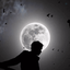 Profile picture of ‌رضا ☫‌