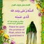 Profile picture of ‌Akbar Khodayi‌