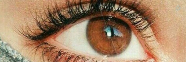 ‌🎀خانم میم بیم🎀‌'s header picture