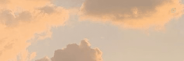 ‌گوربا نارنجی 🐈‌'s header picture