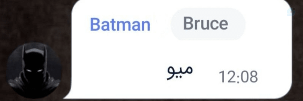 ‌Batman‌'s header picture