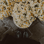 Profile picture of ‌P.delfani‌