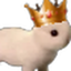 Profile picture of ‌Bunny Tan‌
