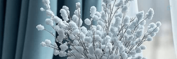 ‌مریم‌'s header picture