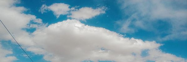 ‌دهقانِ فداکار‌'s header picture