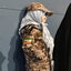 Profile picture of ‌SaD‌