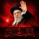 Profile picture of ‌محمود همت‌