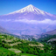 Profile picture of ‌Alireza‌