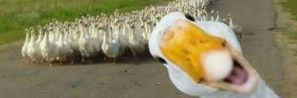 ‌یه قطعه الماس ازتاج ممدرضا‌'s header picture