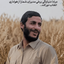 Profile picture of ‌فاطمه حیدری‌
